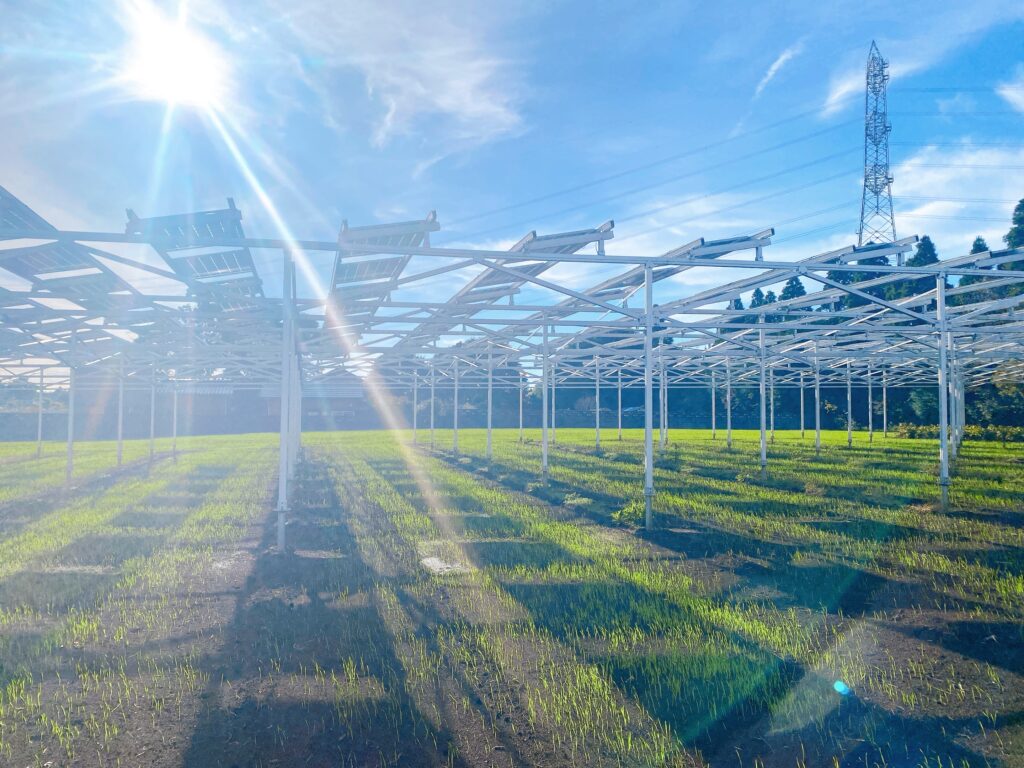 地域コミュニティを育むソーラーシェアリング